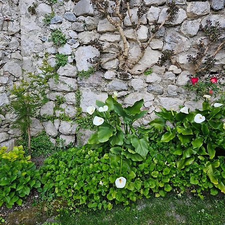 Gardainn Giardino 38A Riva del Garda Luaran gambar