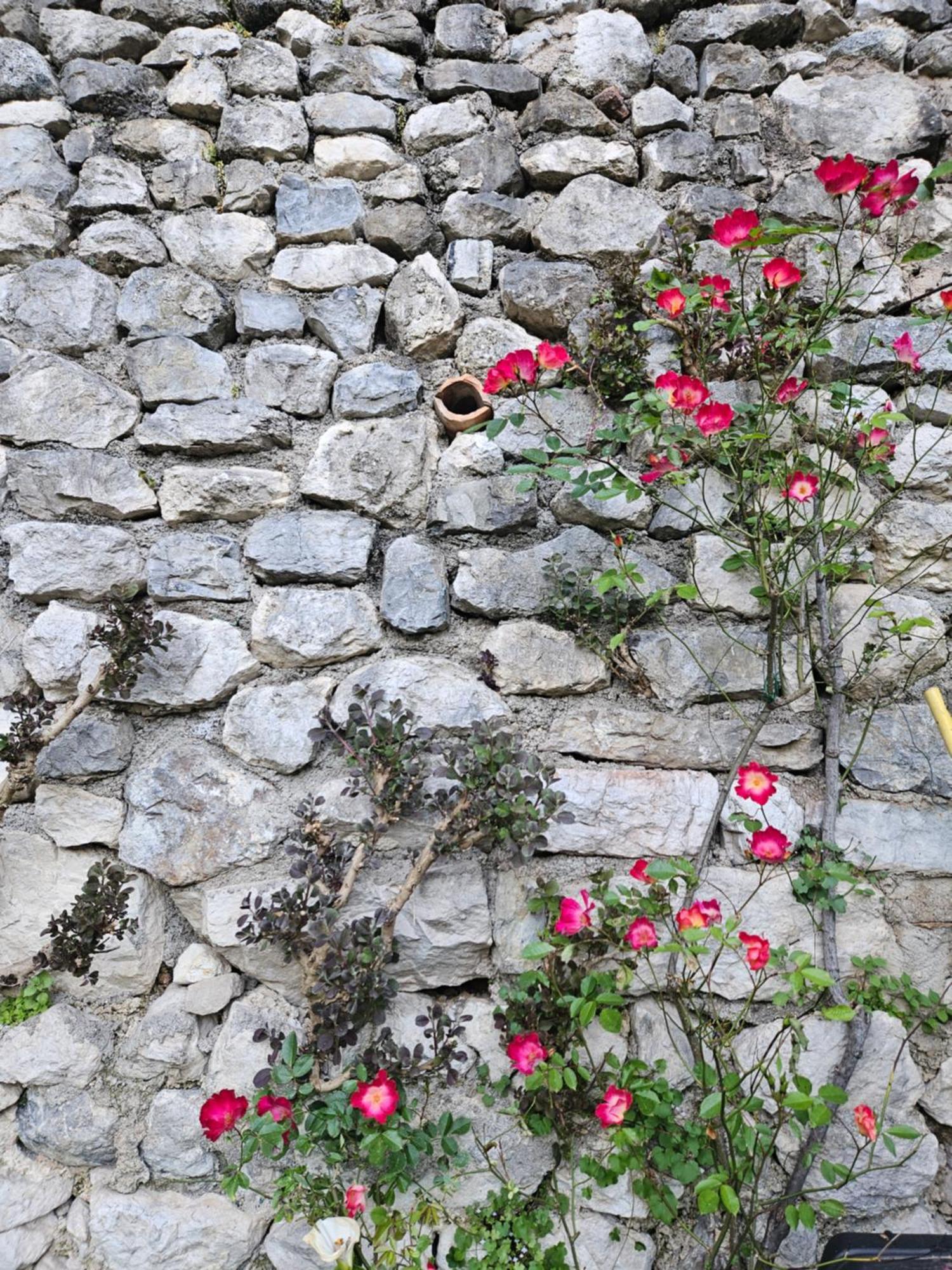 Gardainn Giardino 38A Riva del Garda Luaran gambar